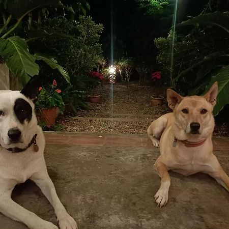 Villa Albizia in Chiang Mai Doi Saket Esterno foto