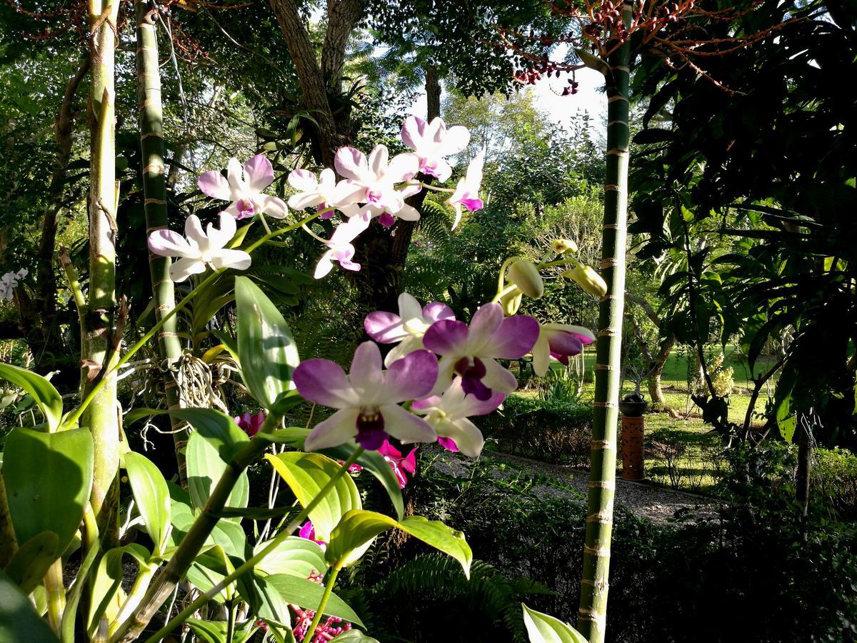 Villa Albizia in Chiang Mai Doi Saket Esterno foto