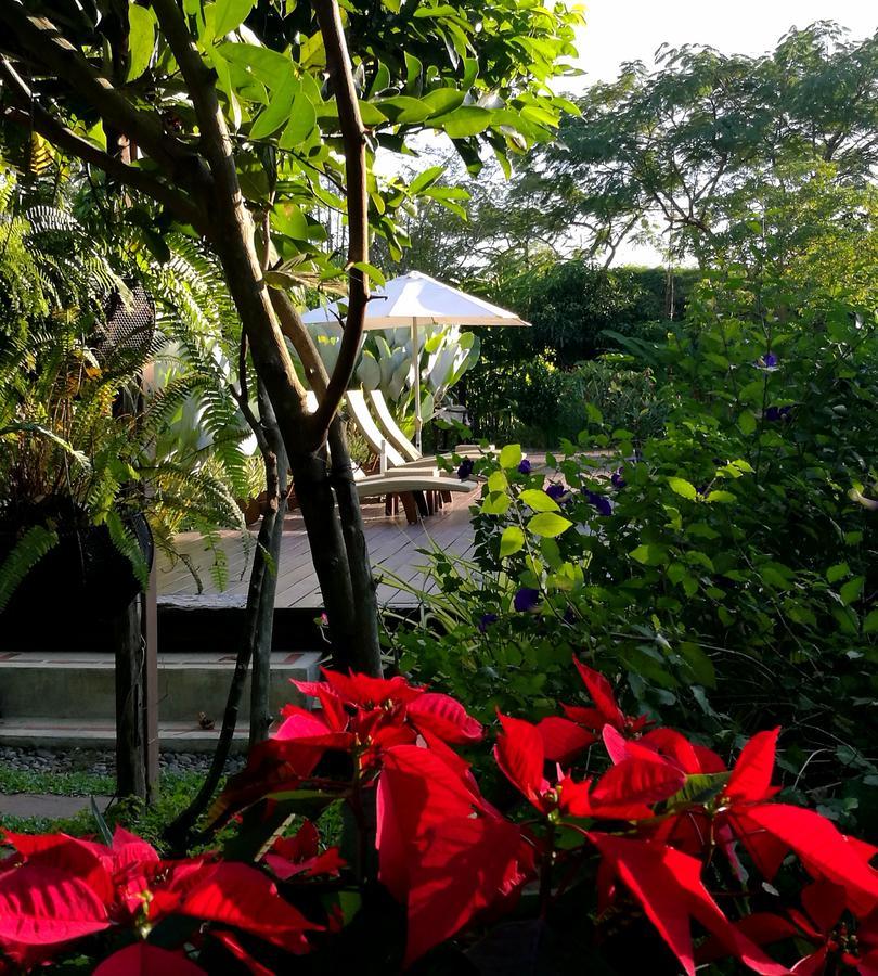 Villa Albizia in Chiang Mai Doi Saket Esterno foto