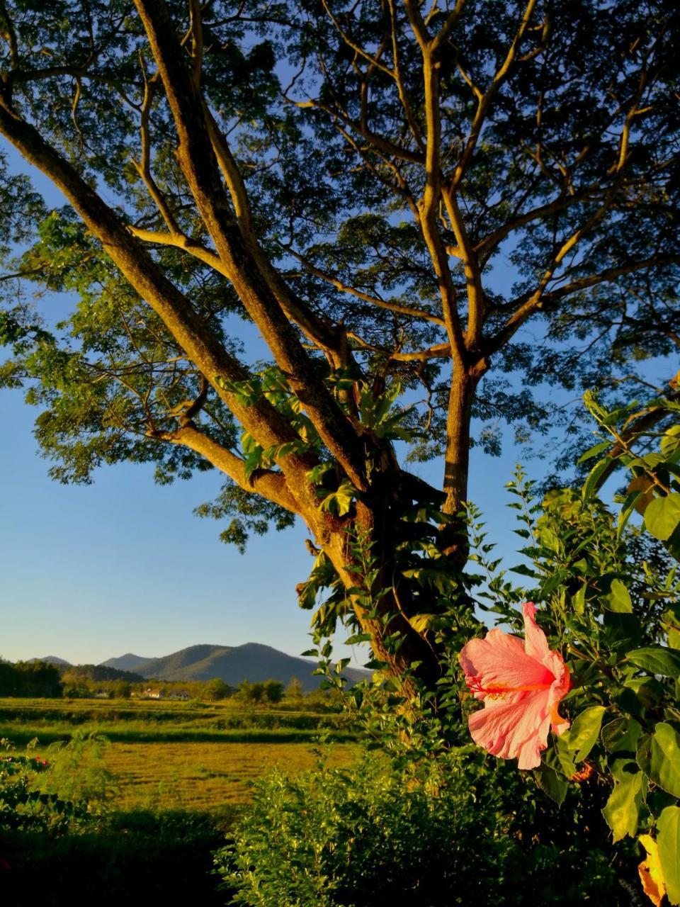 Villa Albizia in Chiang Mai Doi Saket Esterno foto